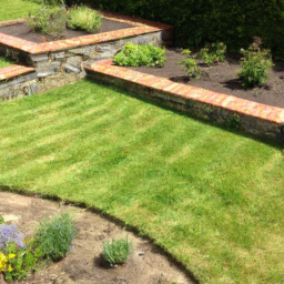 Gazon de Jardin : découvrez les différentes variétés de gazon pour choisir celle qui convient le mieux à votre jardin Angers